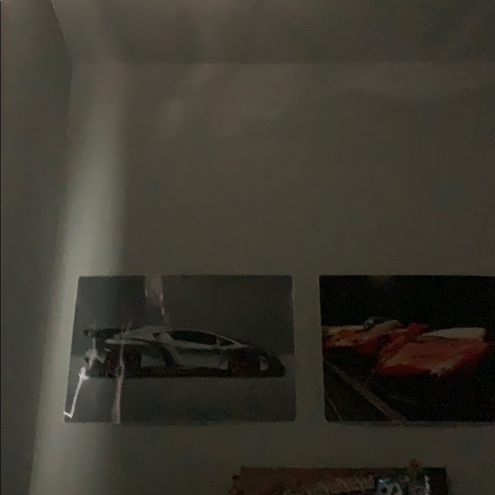 Meet your Posher, Ryley